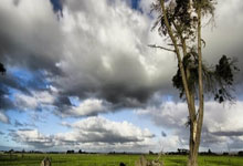 爱游戏:是穆里尼奥让你警惕安东尼-泰勒吗?拉涅利:我不知道.